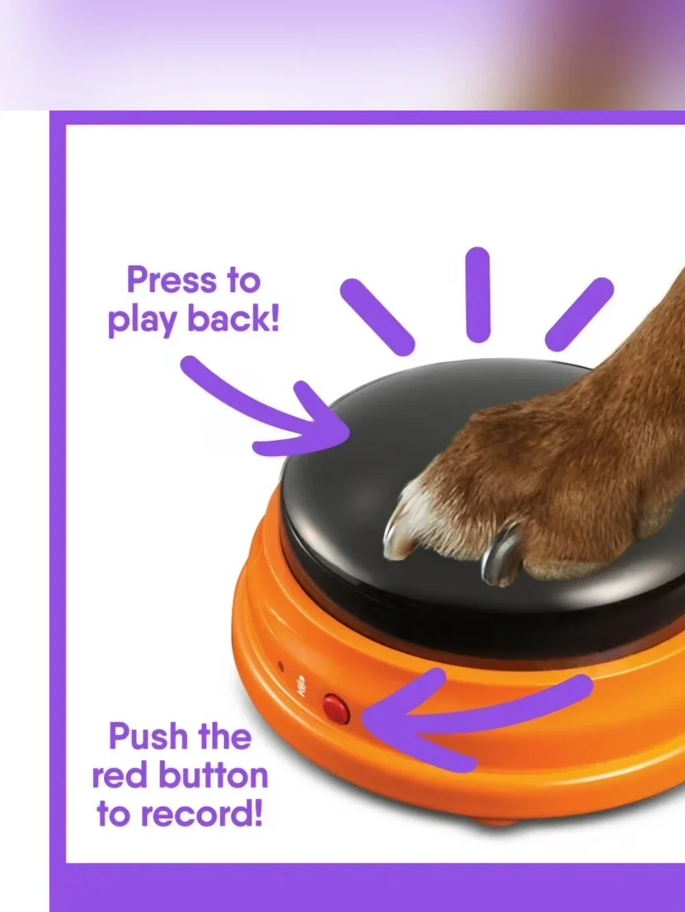 Hunger For Words Talking Pet Starter Set for Dog Training 4 Pack